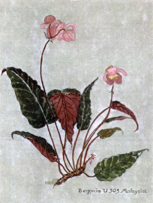 B. u303